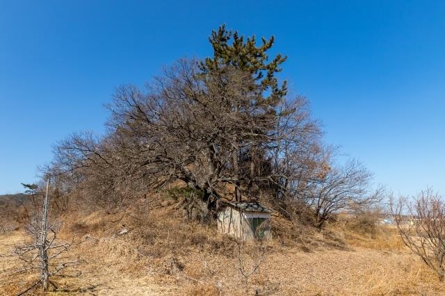 대표시청각 이미지