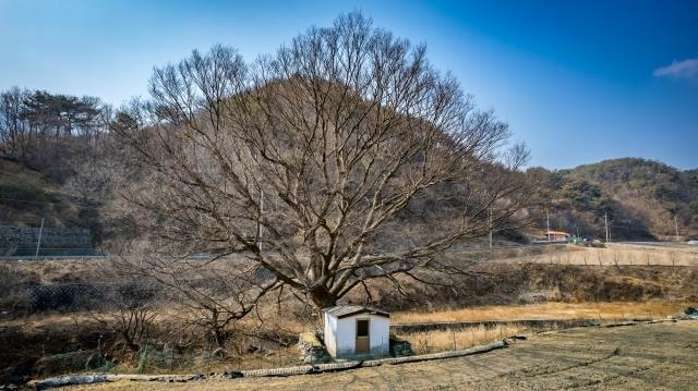 대표시청각 이미지